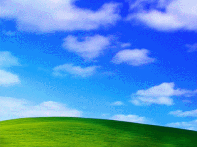 cb2d769e251150a6b2330809bd208aa8.gif
