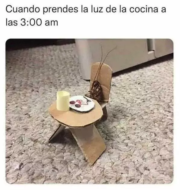 CC_2791332_acacd878725e47eab59d0c498420607b_meme_otros_te_estaba_esperando.webp