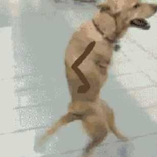 cd0d59453dae2cc9f0a3a37fc12a4c30.gif