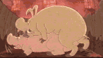 cerdo-puerco-y-cochino-imagen-animada-0054.gif