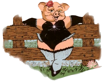 cerdo-puerco-y-cochino-imagen-animada-0257.gif