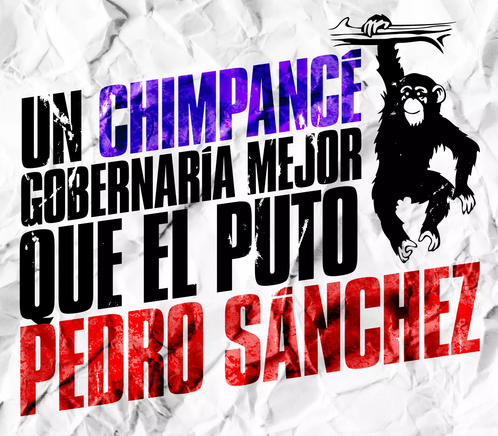chimpa.webp