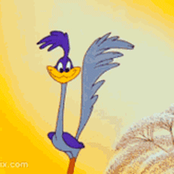 correca1.gif