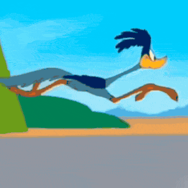 correca2.gif