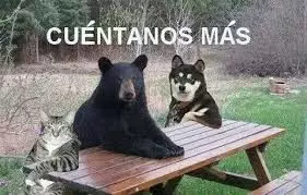 Cuentanos mas..webp