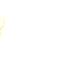 cum-sperm (8).gif