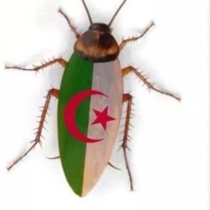 czy59z.webp
