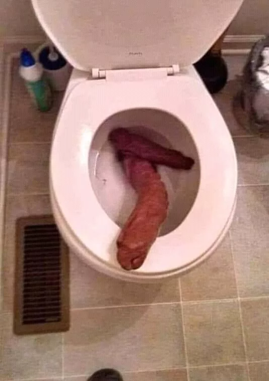 D2CJwhtWoAEUEED.webp