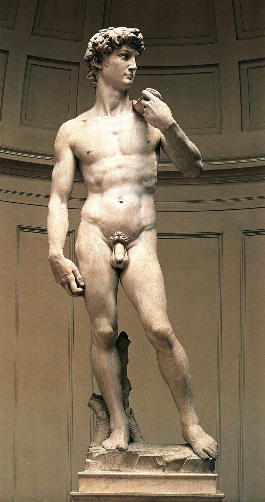 david2.webp