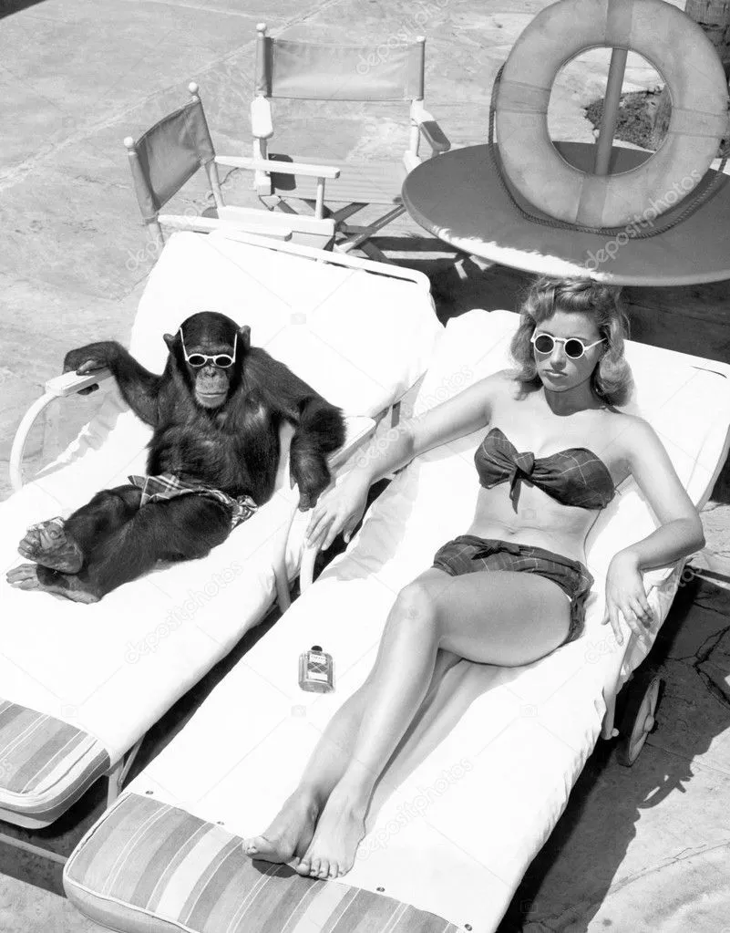 depositphotos_12299419-stock-photo-chimpanzee-and-a-woman-sunbathing.webp