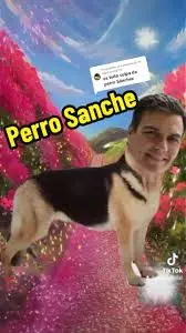 descarga (48).webp