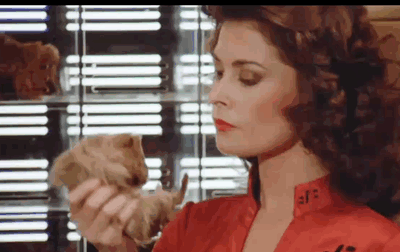 diana v mouse.gif