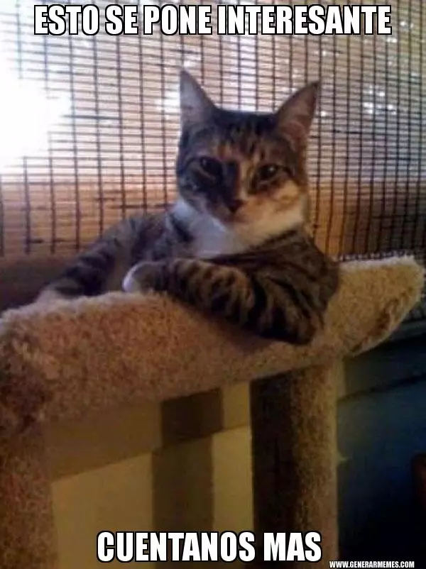 DMZx5BXXUAAJVd1.webp