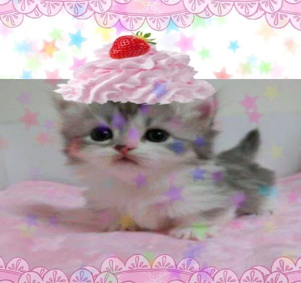 e0c6e50cf580e35be8991a1de9702a67.webp