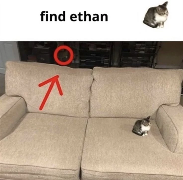e0cb4debbecf3f18db6c5f7e6dfab478.webp