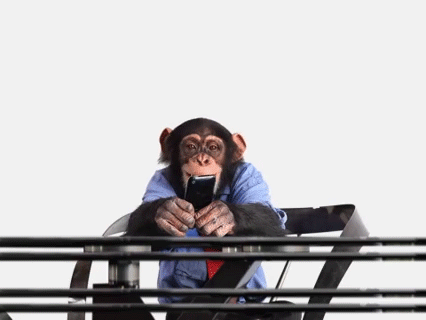 e401f02ff894a1e74d65b1da25dfe0e9-3140415947.gif