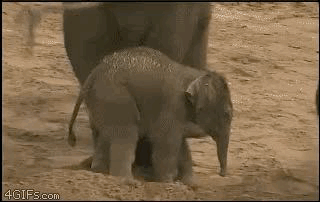 E8FD3720-D236-4506-A15B-736A5422E87A.gif