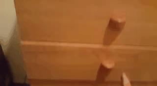ebc9e9a4447cece15cfc723a0b3a65bfc0c3887eadf9df9d7d95ca909448f1c9.gif
