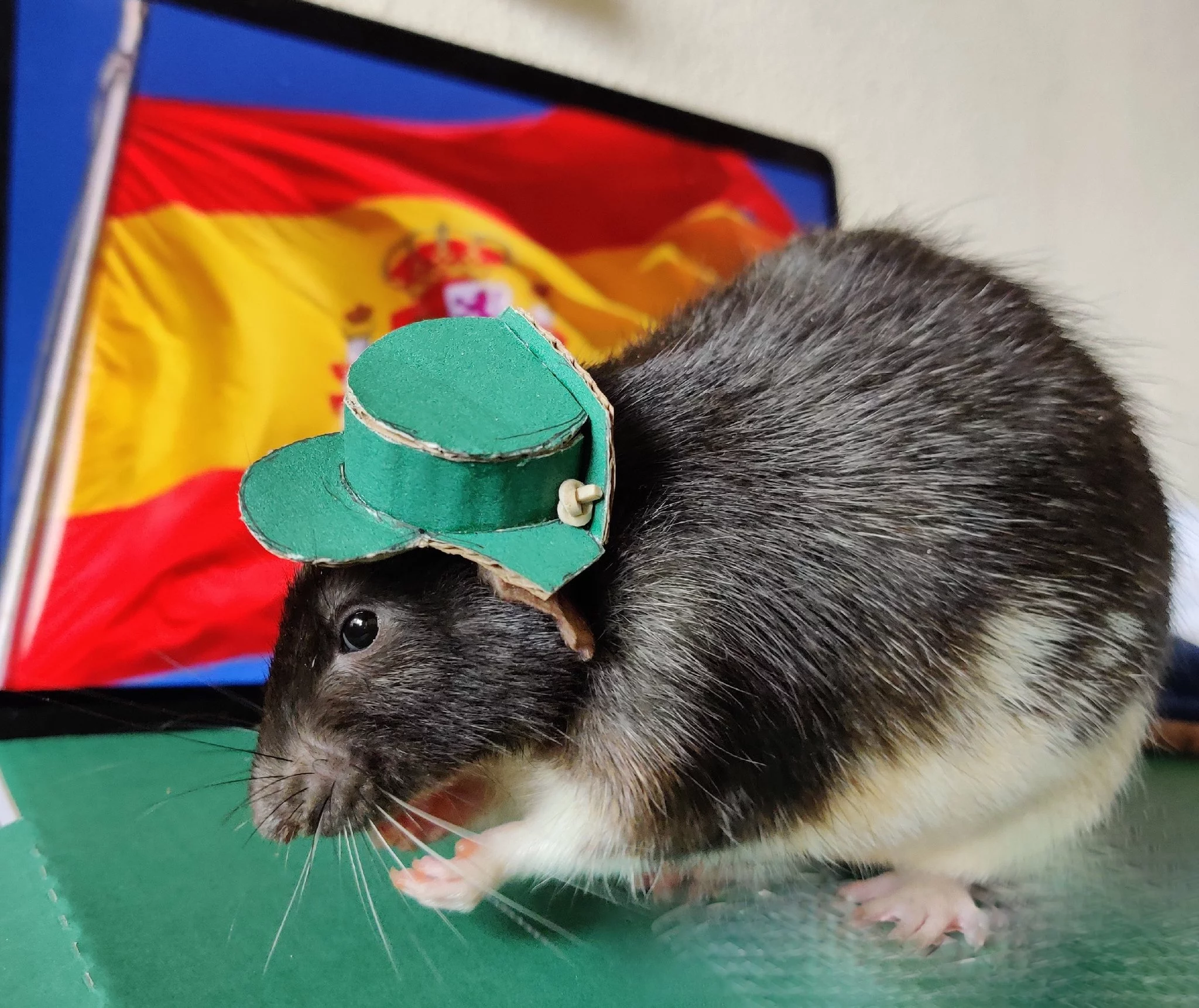 EirFNgNX0AIiALx.webp