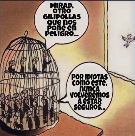 enjaulados.webp