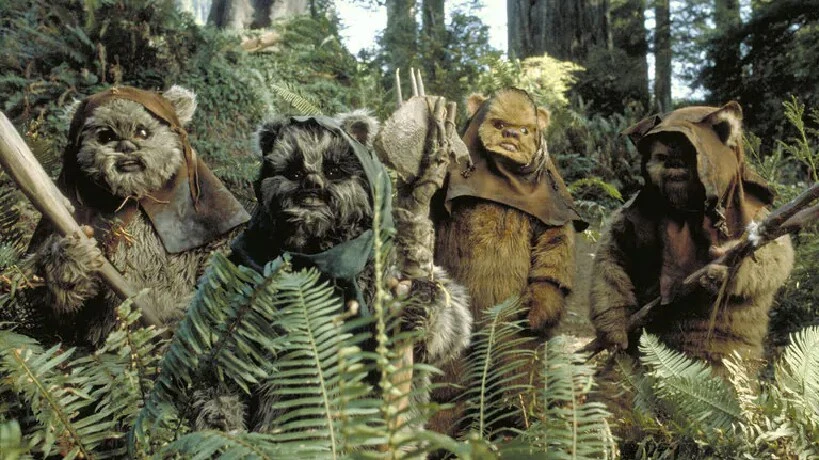 ewoksstaarwars_44dfa8f5.jpeg
