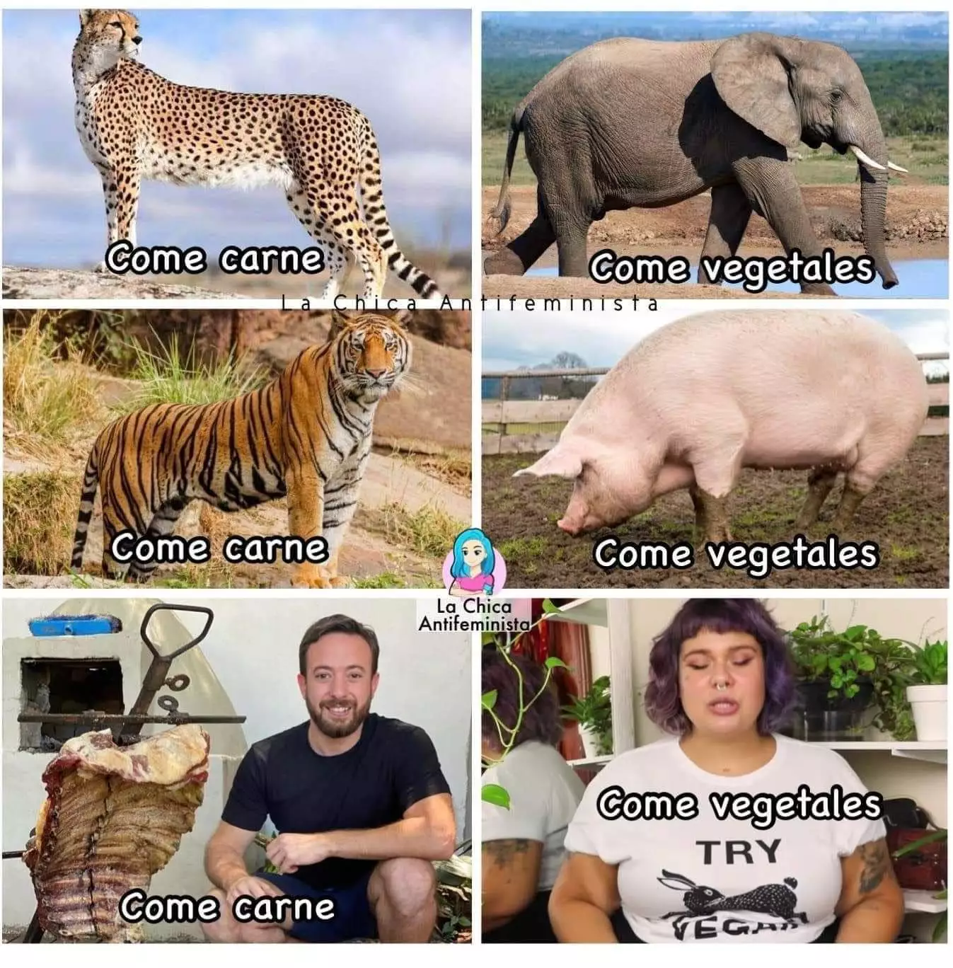 F1lwcZnXwAQYkRS.webp