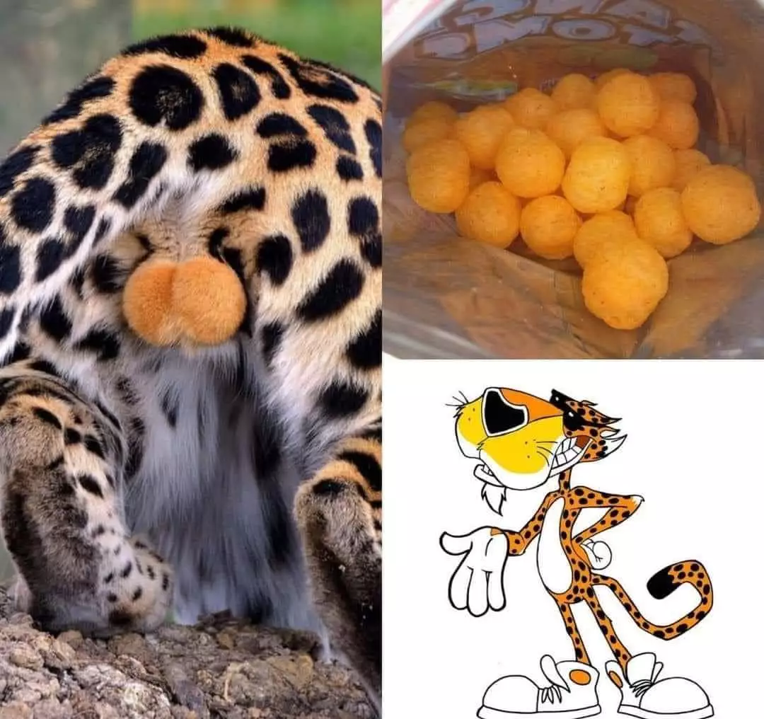 F8K8qQCXQAAXZpq.webp