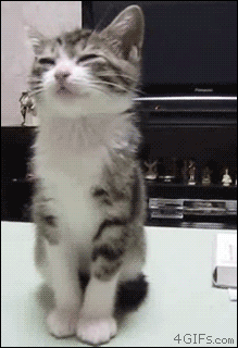 fD3D8tD.gif