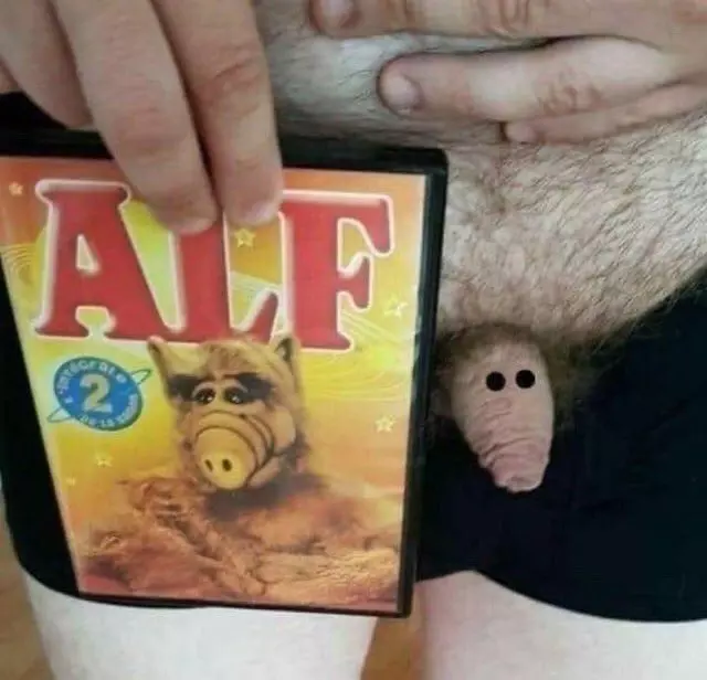 FfysfPZXgAAZF-f.png