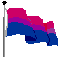 flag.gif