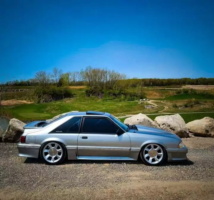 FoxBody.webp