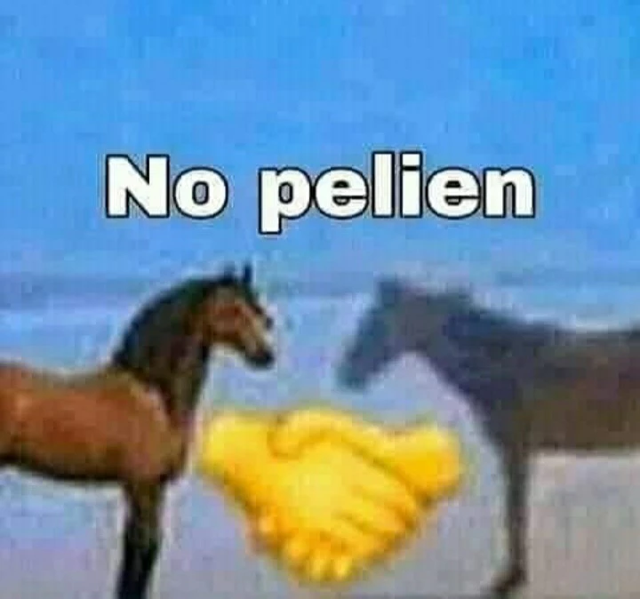FQJmM3jX0AE8288.webp