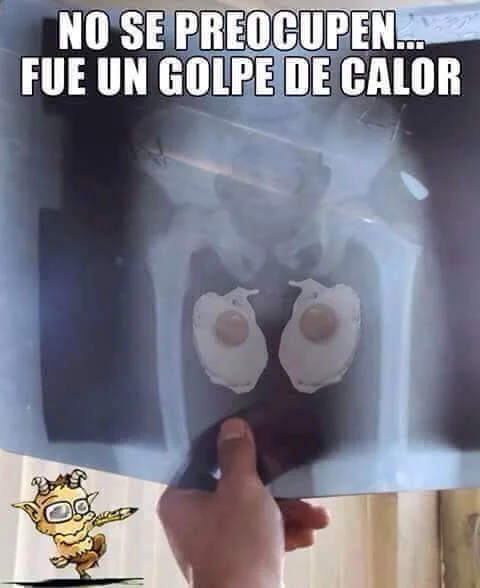 fue-solo-un-golpe-de-calor.webp