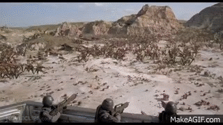 g-rfTF.gif