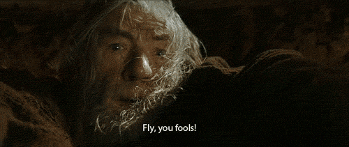 gandalf-corred-insensatos.gif