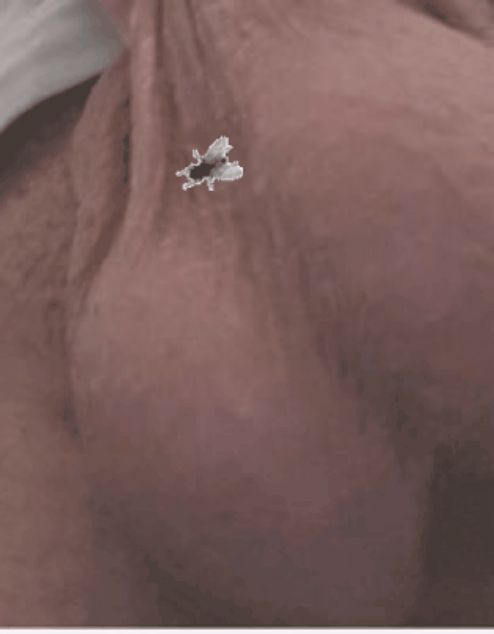 GIF_20240725_184715_904.gif