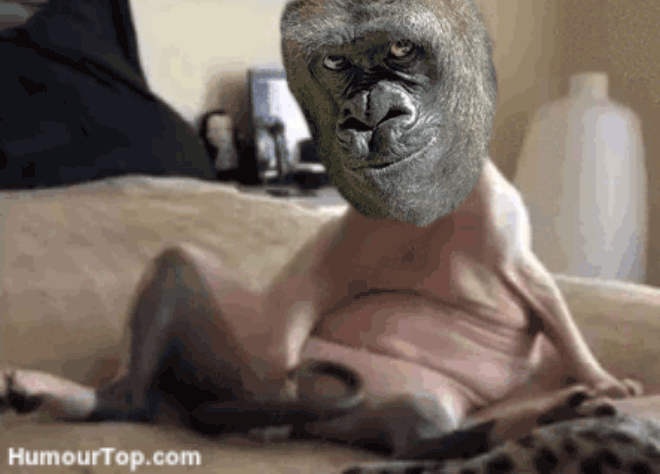 GIF_20240914_135106_299.gif