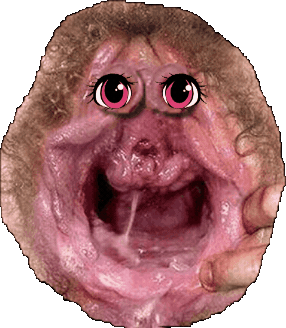 GIF_20260512_080153_813.gif