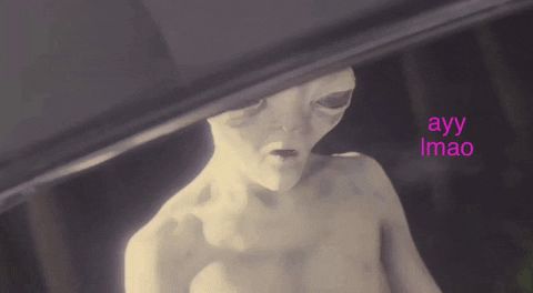 giphy (3).gif