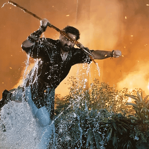 giphy (46).gif