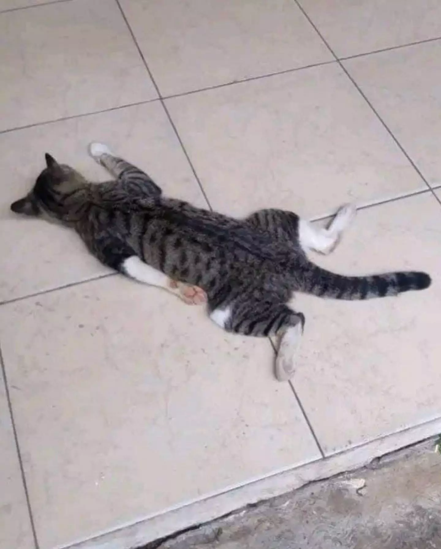 GoMjRTPaQAABwaV.jpeg