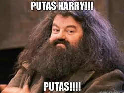 Hagrid6.webp