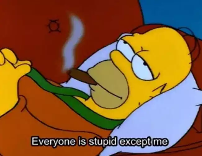 homer stupid except me.webp
