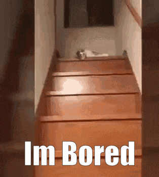 im-bored.gif