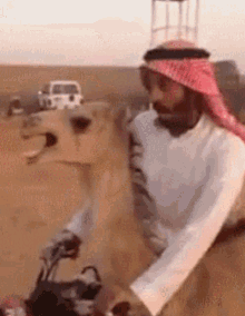 image0-24.gif