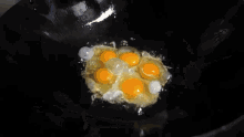 image0-86.gif