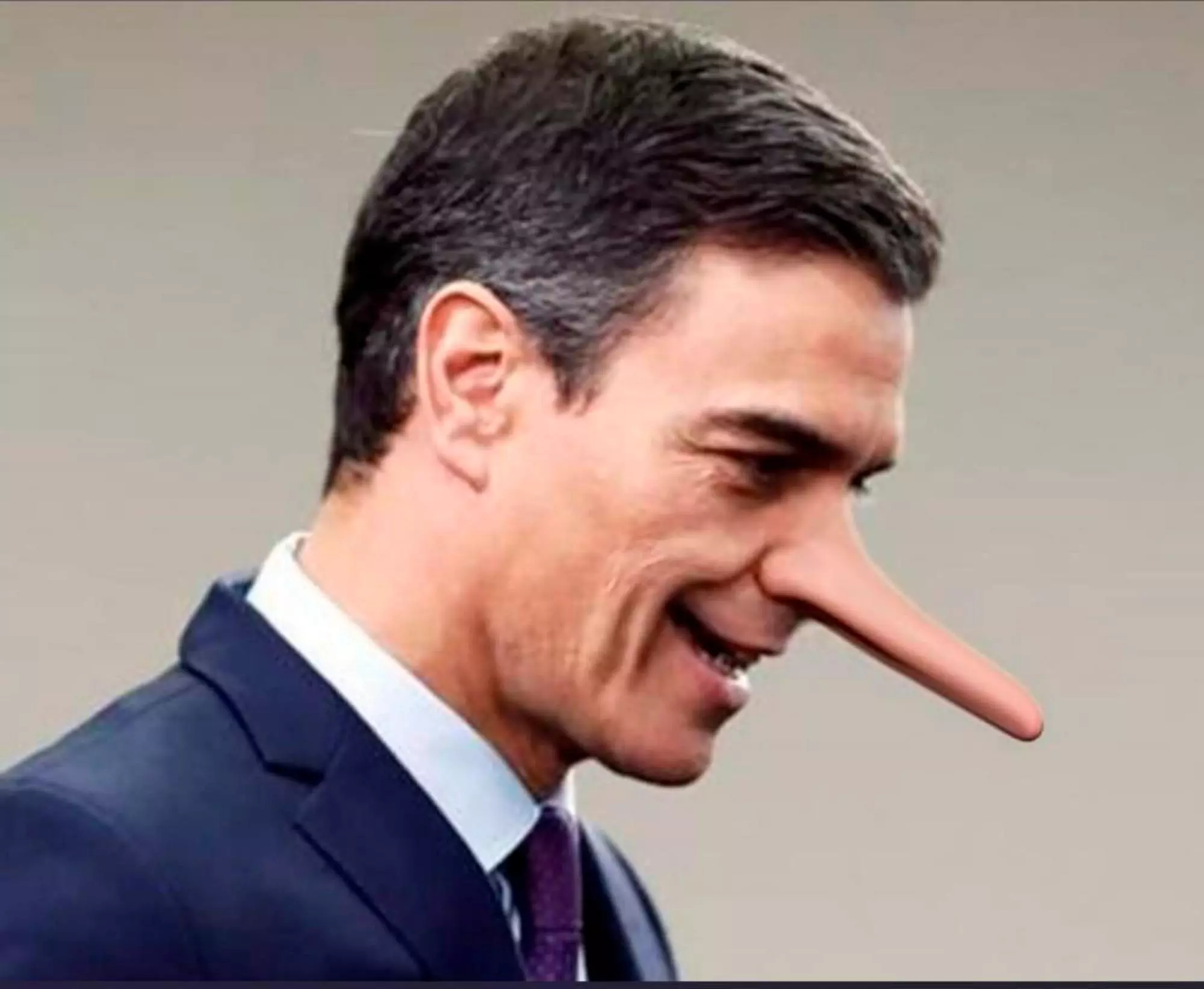 imagen-pedro-sanchez-nariz-pinocho_20822137_20220421174129.webp