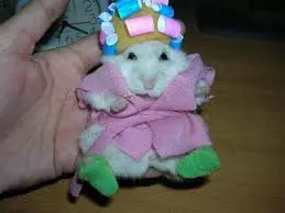 images (6).webp