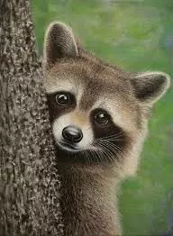 images (8).webp