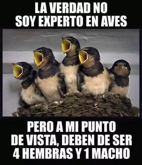 IMG-20160929-WA0011.webp